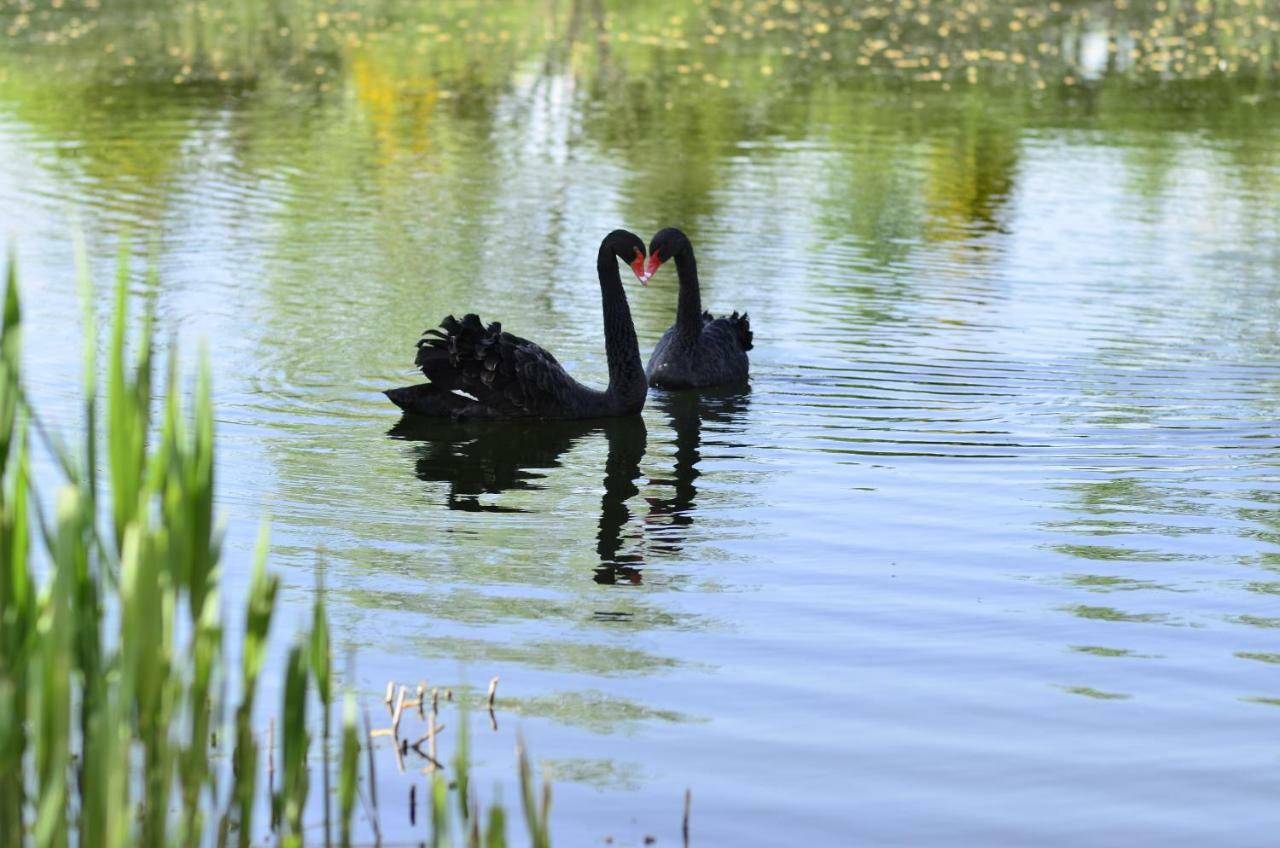 Dom Na Wodzie Mazury Villa Dzwierzuty Dış mekan fotoğraf